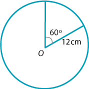 Circle with radius of 12 cm, sector with angle at origin of 60 degrees.