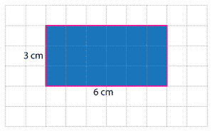 A 3 cm by 6 cm rectangle drawn on one-centimetre grid.
