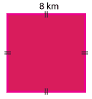 A 8 km by 8 km square.