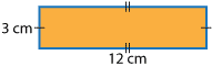A 3 cm by 12 cm rectangle.