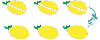 Six lemon halves in the top row and three whole lemons in the bottom row.