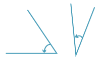 Two acute angles.