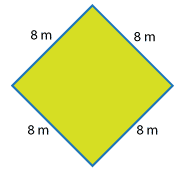 A 8 m by 8 m square.