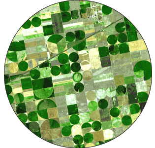 Diagram showing circular fields.