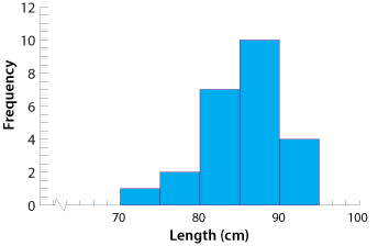 Histogram