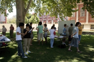 Australia Day BBQ at the AMSI Summer School